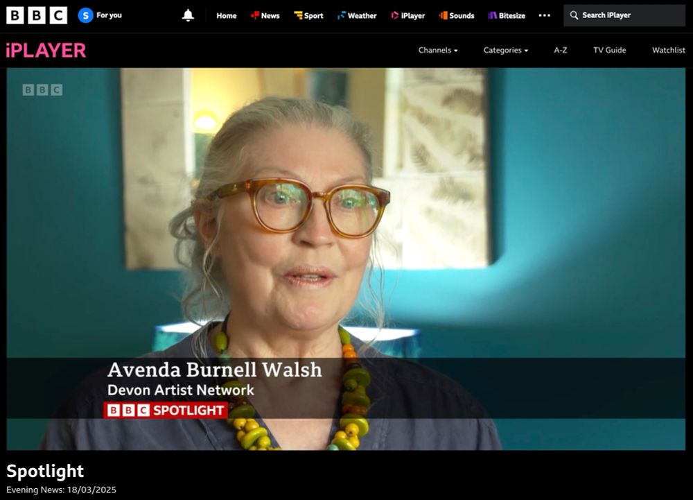 BBC Spotlight: Avenda Burnell Walsh from Devon Artist Network