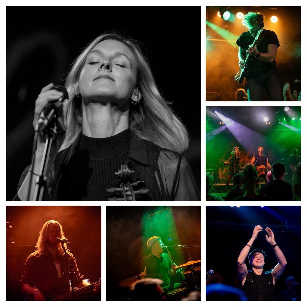 Eine Collage mit Live - Fotos der Band "Liebe & Krawall"