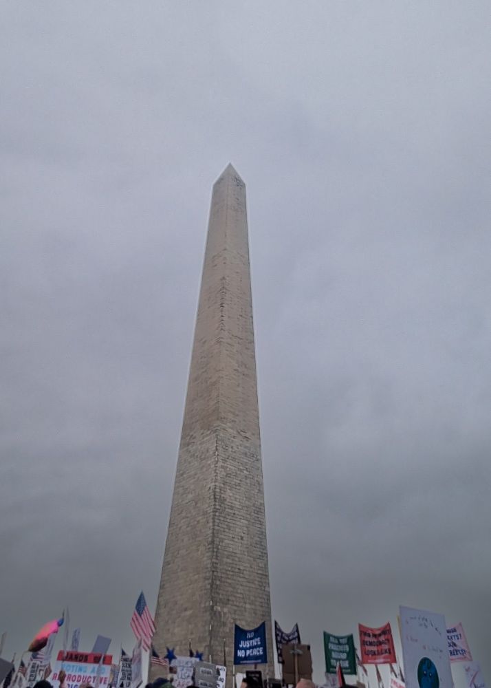 Protesters gathered around the Washington monument in DC