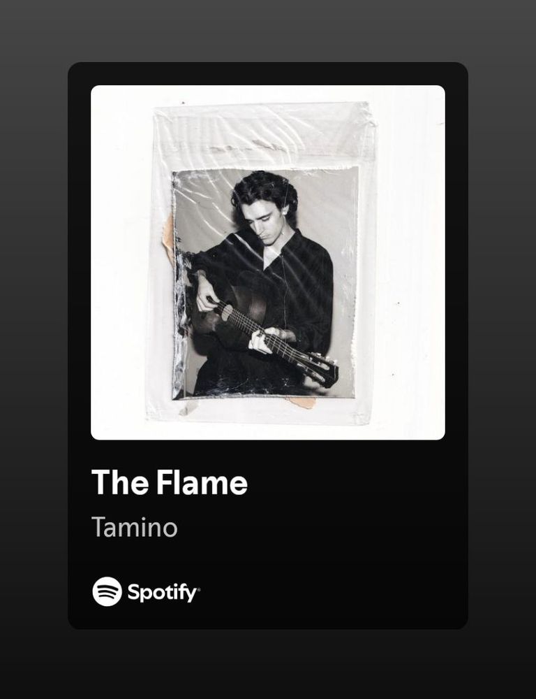 tamino - the flame