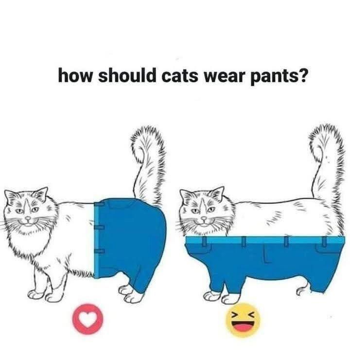 Image of two cats, one wearing pants on back half, and one on bottom half. Title: How should cats wear pants?