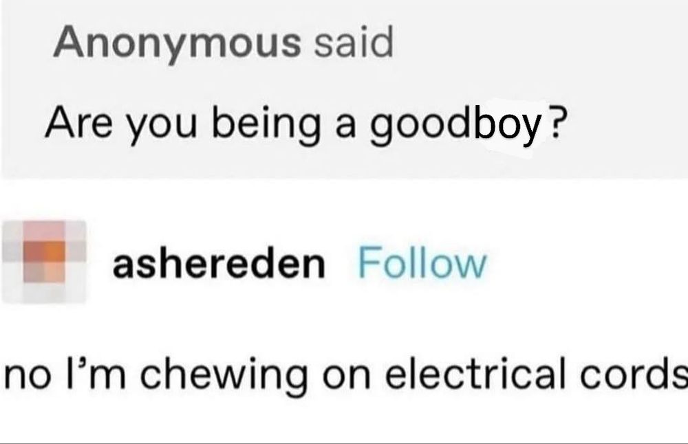 Screenshot of Tumblr thread reading

Anonymous said
Are you being a good (over white mark out) boy?
User asherden
No I'm chewing on electrical cords