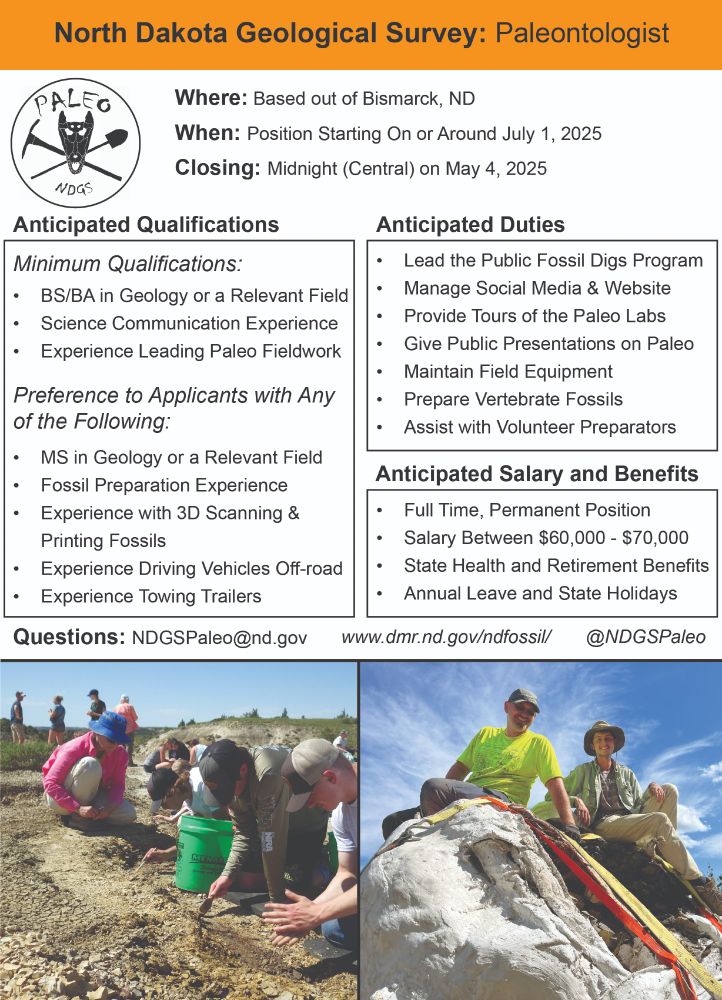 An image of a job advertisement for a paleontologist working for the North Dakota Geological Survey. Position will start on or around July 1, 2025 and applications are due at midnight on May 4, 2025. Salary ranges from $60,000 to $70,000. At the bottom of the advertisement there are images of individuals participating in the NDGS public fossil digs, which will be a main duty of the selected candidate.