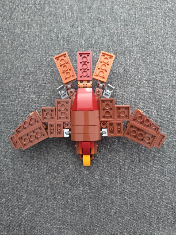 Rebel, as seen from above.
