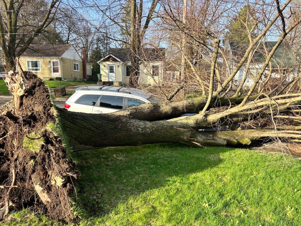 PHOTOS: First taste of summer heat in southern Ontario brings severe storms - The Weather Network