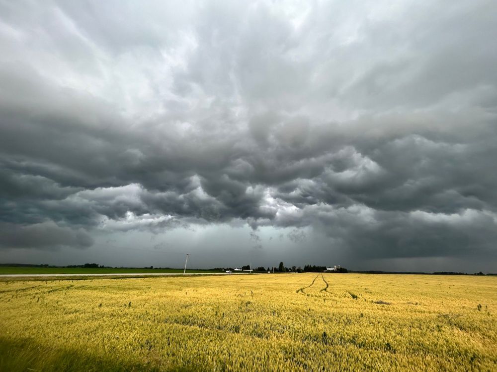 Southern Ontario to be teased by summer-like warmth with severe storm risk - The Weather Network