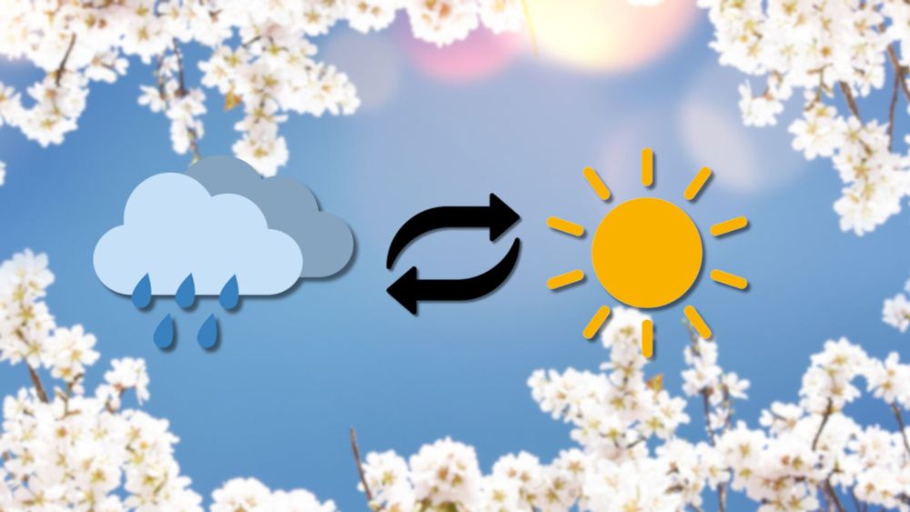 Full spectrum of spring weather hits southern Ontario this weekend - The Weather Network