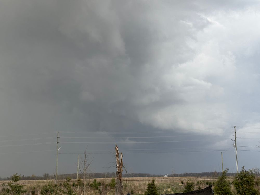 Rain and thunderstorm risk spans southern Ontario Monday - The Weather Network
