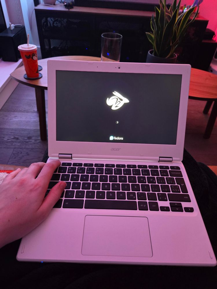 The Chromebook booting Fedora