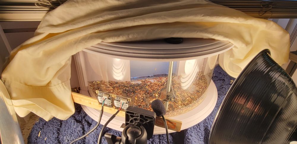 My VR bird feeder studio!  A window bird feeder a custom VR camera, lighting, and backdrop.