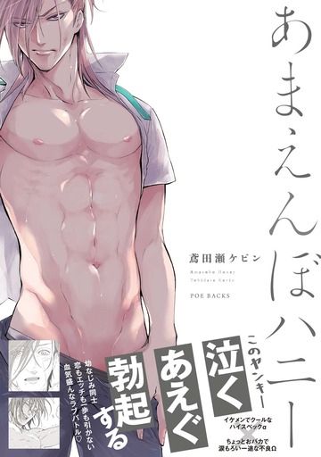 鳶田瀬ケビン先生
あばれんぼハニーシリーズ
『あまえんぼハニー』