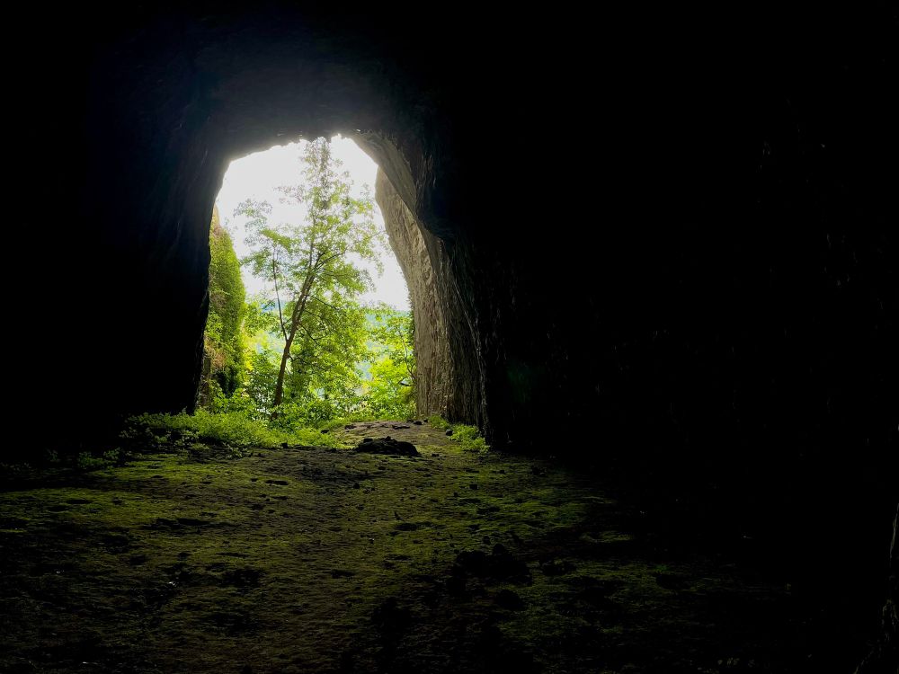 Achterom kijken zie je het felle zo licht. De vloer licht groen op van de mossen en levermossen. De wanden zijn donker zwart. 