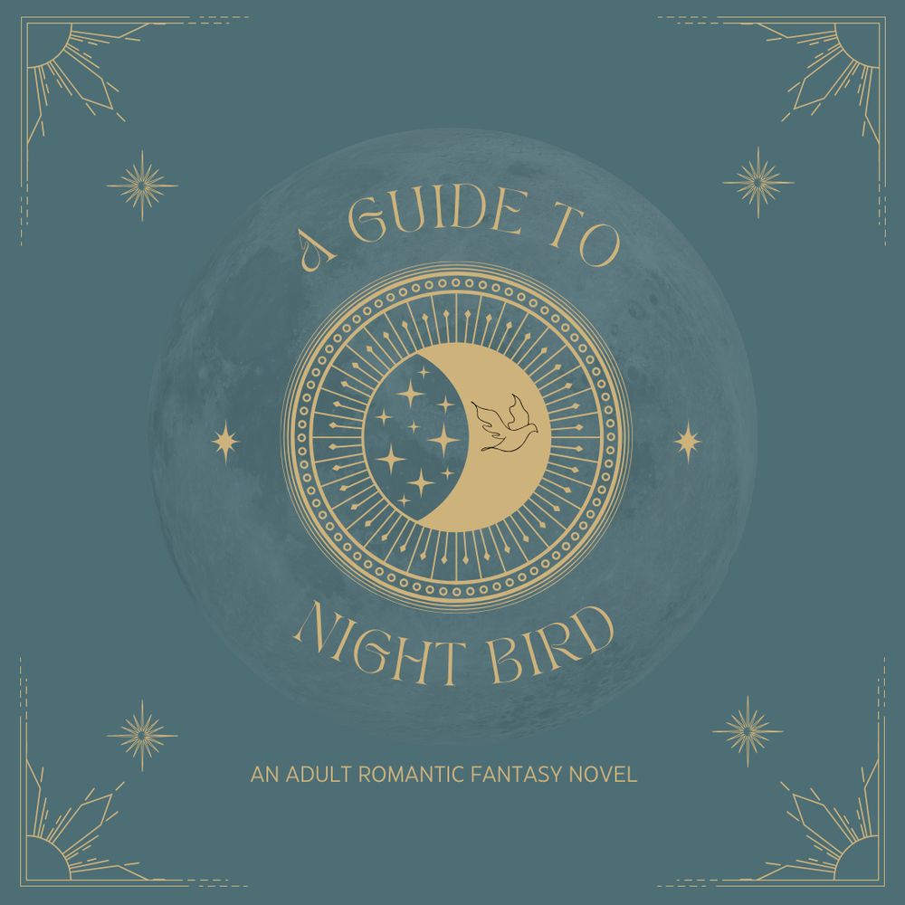 A Guide to Night Bird
An adult romantic fantasy novel