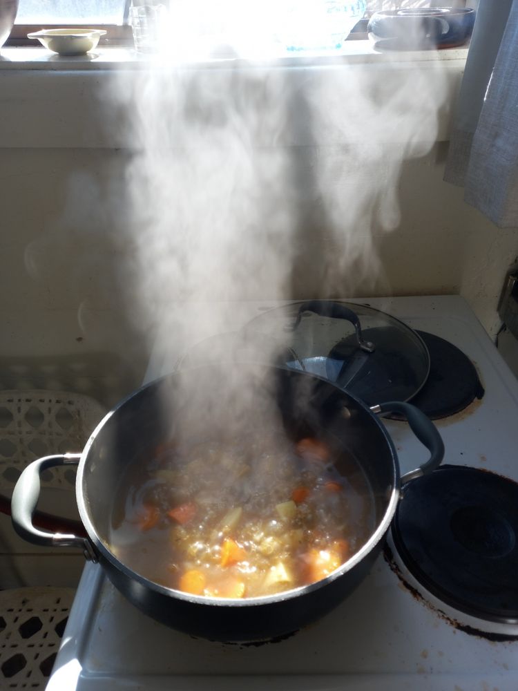 Steaming pot of vegetables.