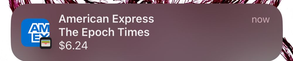 Credit card charge for $6.24 at The Epoch Times for some reason