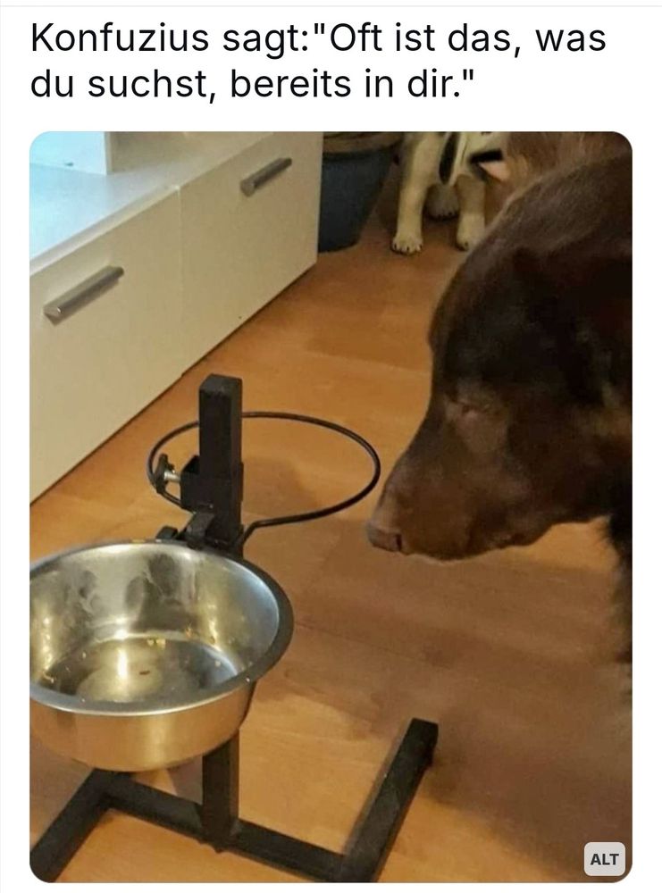 Schöner brauner Labrador vor einem leeren Futternapf. Der Hund guckt traurig in den Futternapf.

Konfuzius sagt: "Oft ist das, was du suchst, bereits in dir."