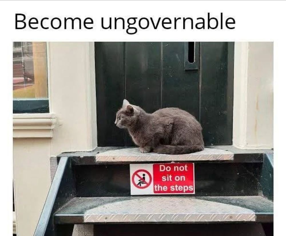 Step with sign that says "do not sit on the steps". Cat is sitting on to step.