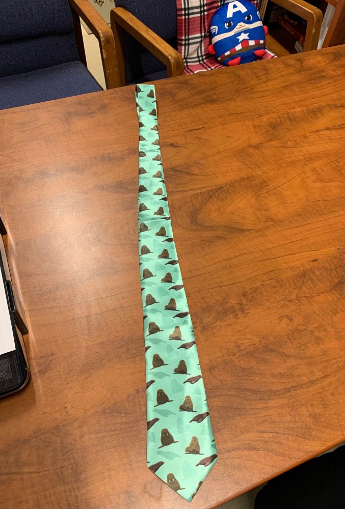 A teal tie featuring brown walruses presented on top of a wood desk.
