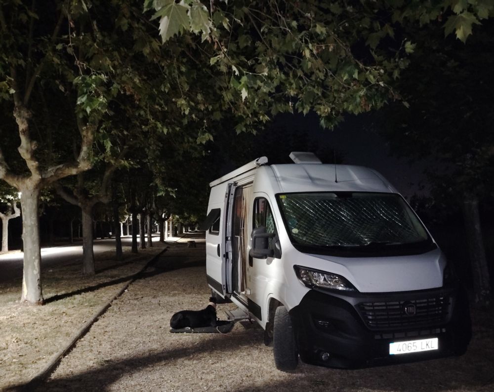 Campervan parked up during night time on an avenue of trees. One greyhound sat outside. 