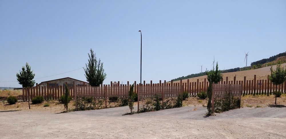 Four empty parking bays for motorhomes, each separated with trellis and climbing plants. 