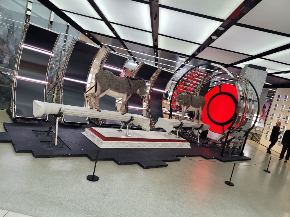 This bizarre display is in a spectacle store in the mall. A portal with donkies? Or is this inside all stone pillars?