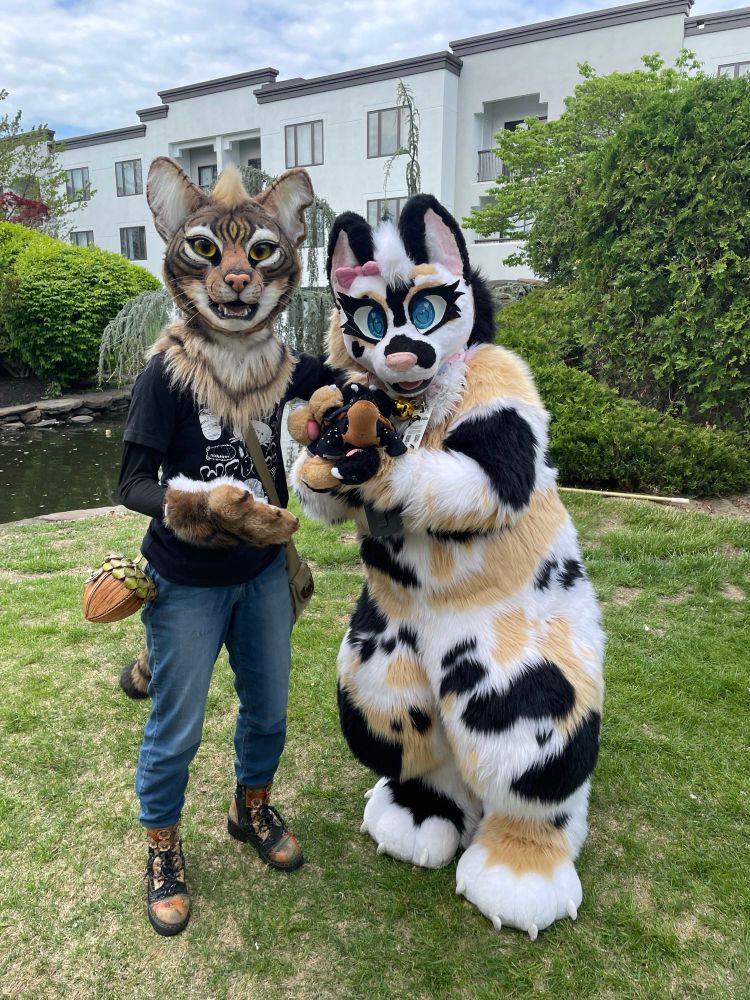 Junebug tabby cat and calico cat fursuit posing outdoors.