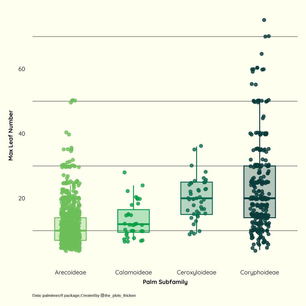 Plot shows 4 palm subfamilies, Arecoideae, Calamoideae, Ceroxyloideae and Coryphoidae and the max number of leaves palm trees have in each subfamily.  Trees in all subfamilies have a wide range of max leaf numbers from   Coryphoideae have
