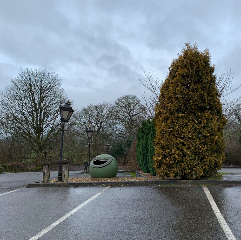A photograph of a deserted pub car park surrounded by bare trees on a murky day: wet asphalt, grey sky. In the centre, next to a flumpy yellow cypress tree, are a litter bin and an ornamental lamppost who appear to be sharing a joke together. The head of the lamp is bent at an angle so it appears to be looking down at the bin whose lid has broken given it the appearance of a laughing face.