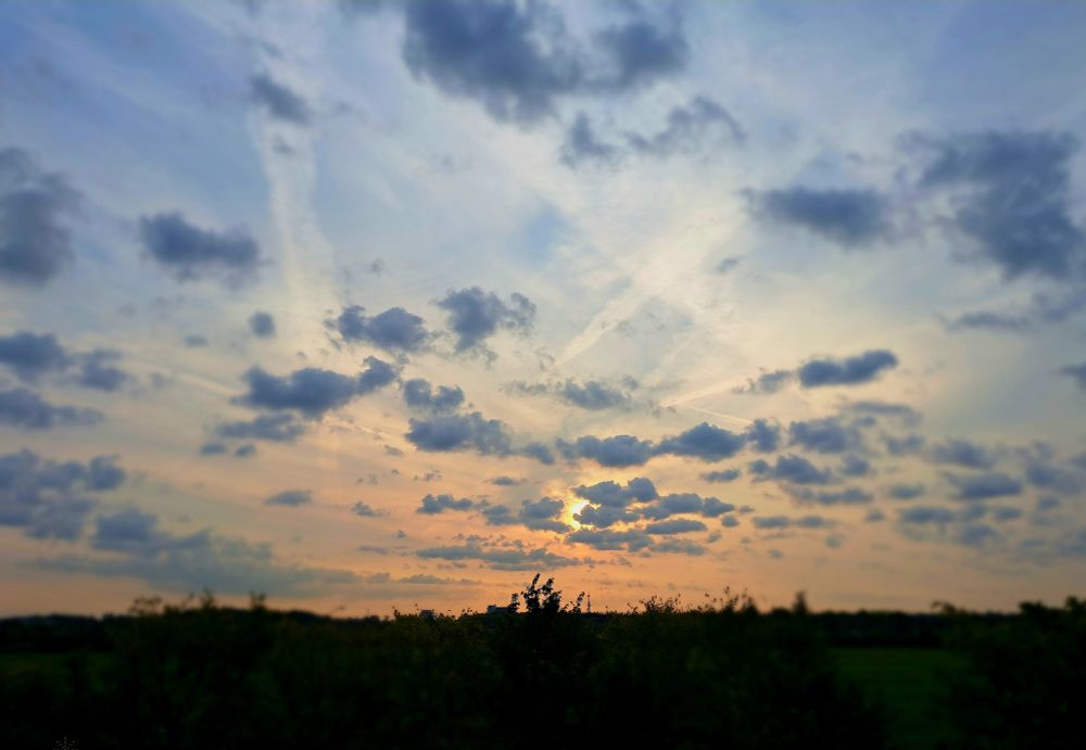 Sonnenaufgang mit orangefarbenem Himmel und verstreuten Wolken über einer dunklen Baumlinie