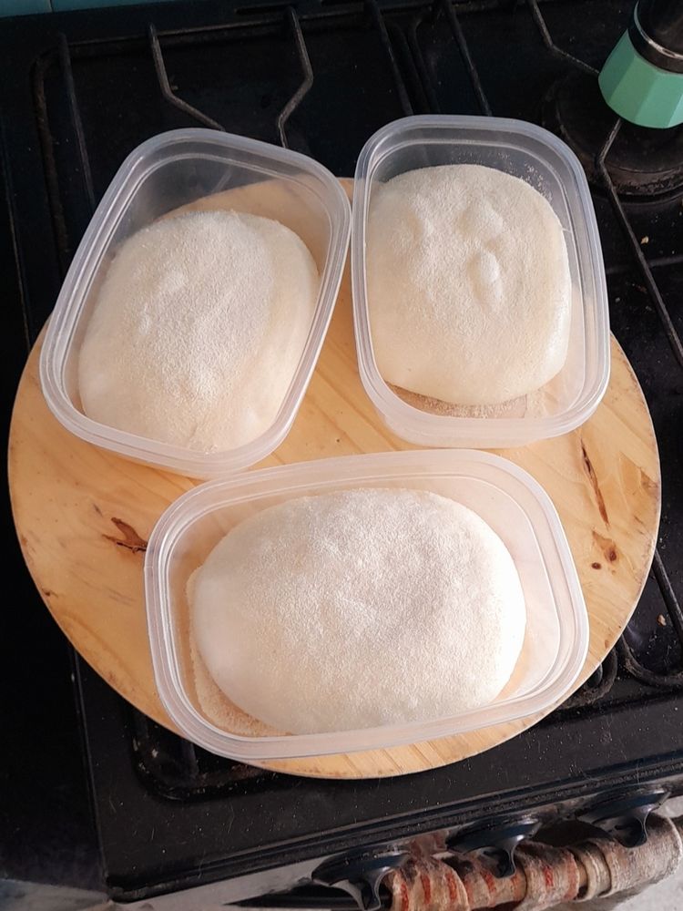 Pizza dough ready to cold ferment