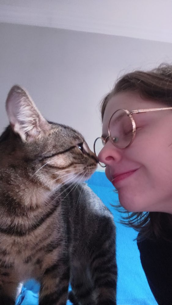 Biscoito, a brown tabby cat, is touching noses with a white woman wearing golden round glasses