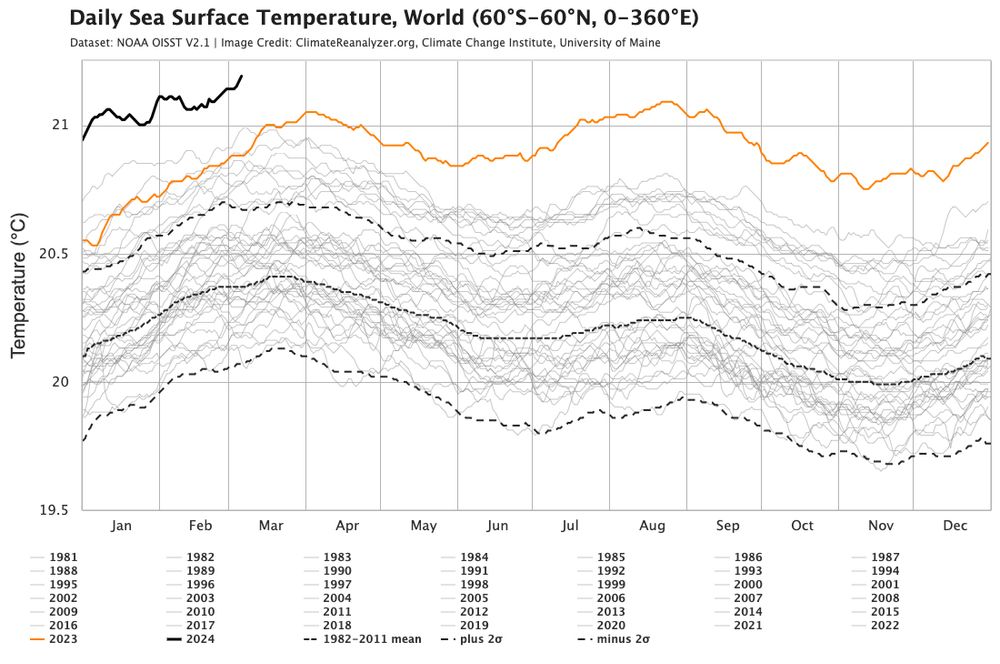 ClimateReanalyzer daily sea surface temperature chart for all years, showing absolutely bonkers daily records beginning in mid-March 2023.