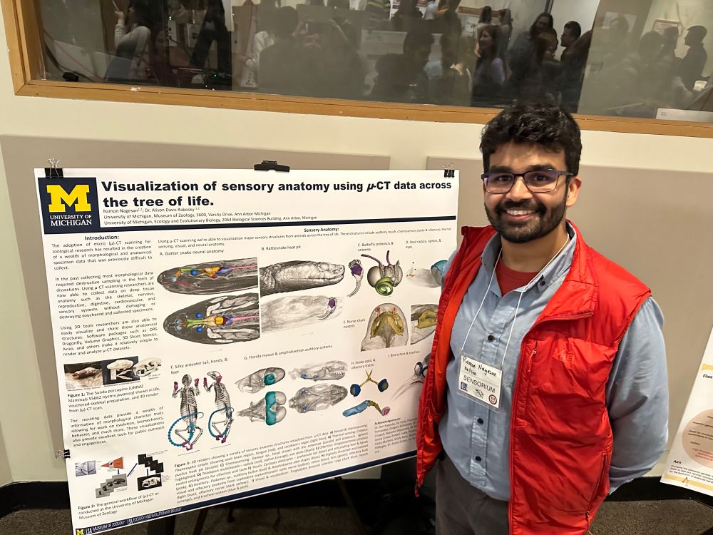 A researcher on the right, presenting a research
Poster