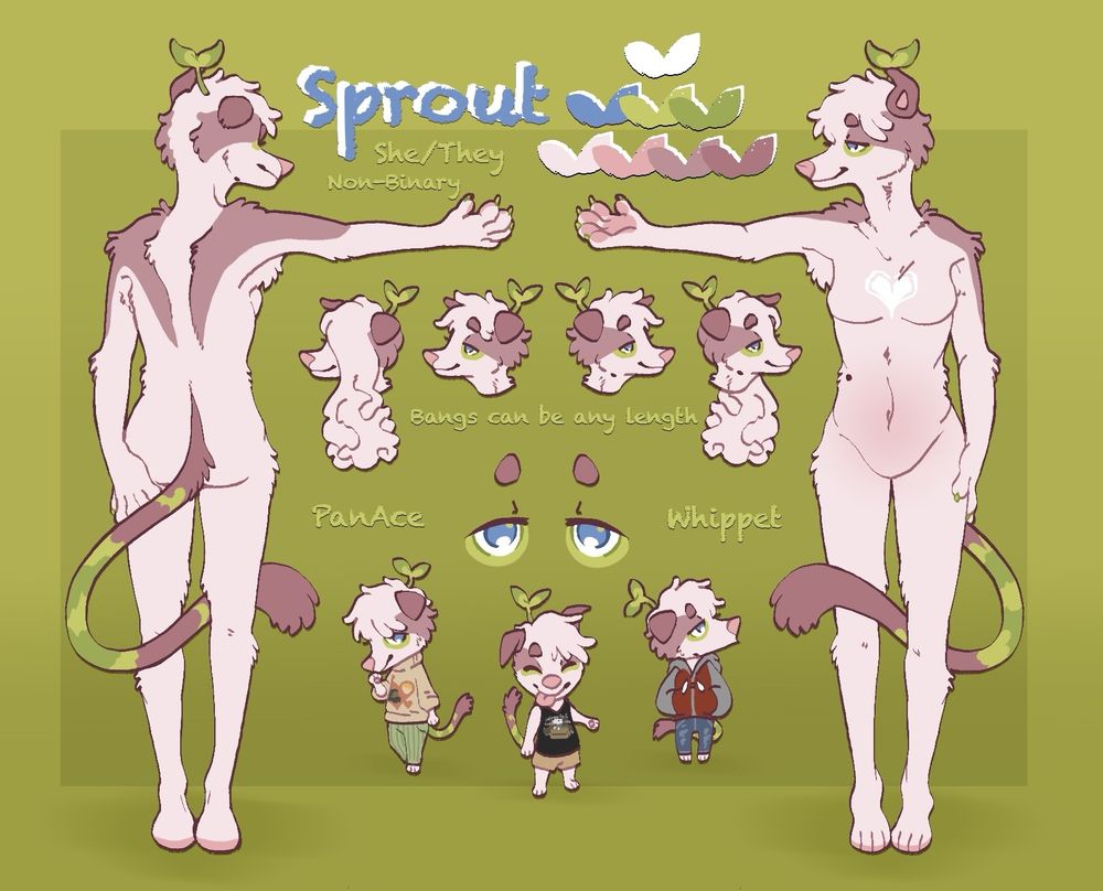 A drawn reference sheet of a twiggy whippet. Text: Sprout, She/They, Non-Binary, PanAce, Whippet, Bangs can be any length. Her colors are peach and rose brown accented by a lime green, a sprout popping out of her head, tail tucked between her legs. There are headshots showing different bang length, as well as miniature Sprouts at the bottom of the page showing off clothing. It seems her wardrobe consists of a lot of comfortable or baggy clothing! 