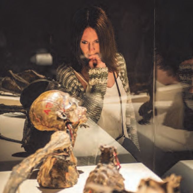 Woman with pensive look observes the Maryland Mummy from the Maryland Medical Alumni Alan Burns Collection.