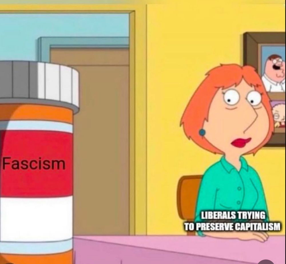Meme, scene from the animated series Family Guy; Lois sits at a table looking strung out labeled “Liberals trying to preserve capitalism” desperately staring at a prescription pill bottle labeled “Fascism”. 