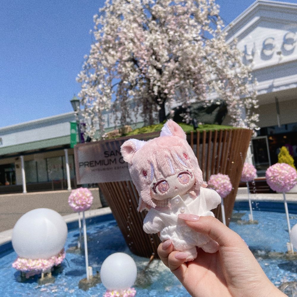 アウトレットに連行されたぬい