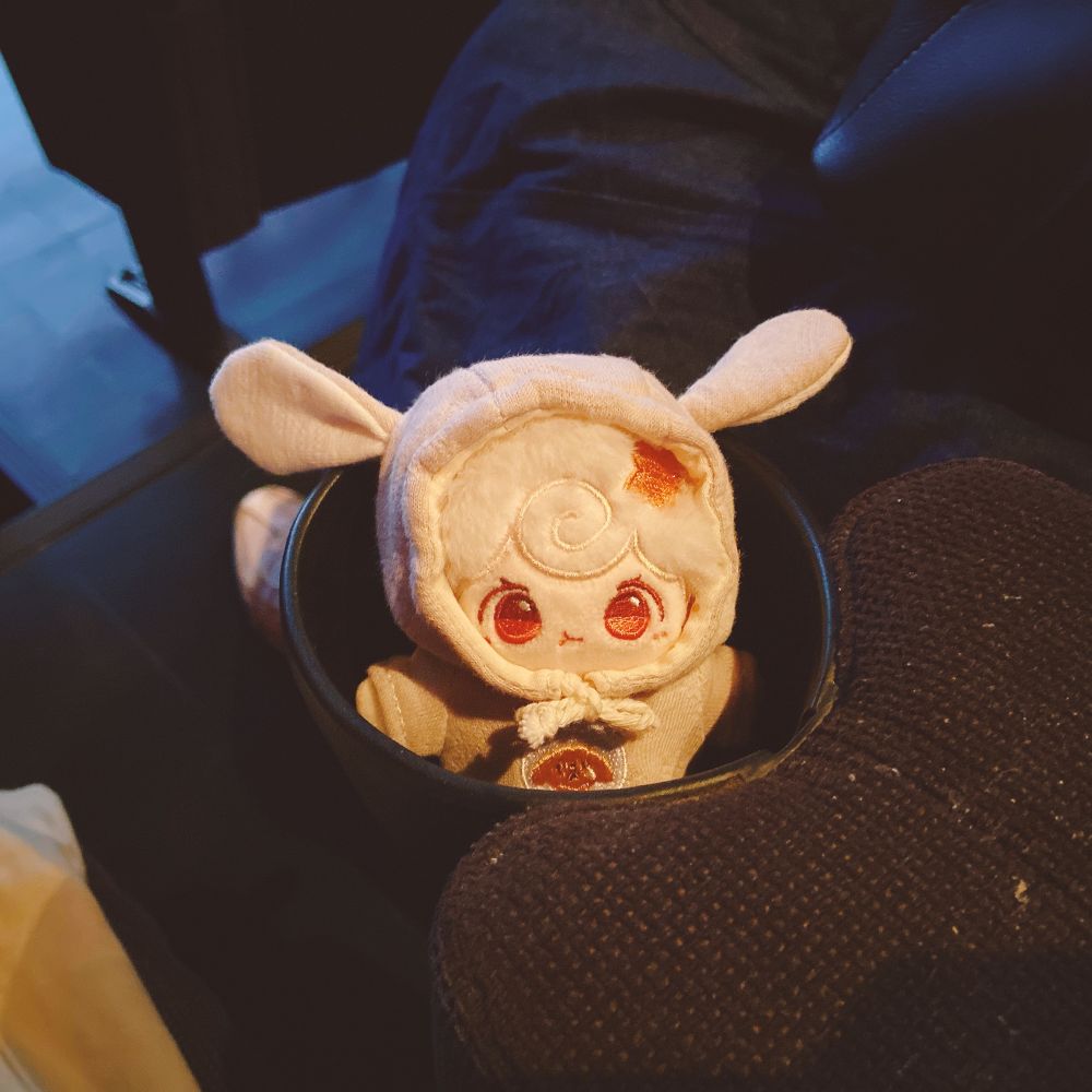 1番一緒にお出かけした子
これは一緒に映画館行った時の写真
2023年は10cmの連れ歩きやすさに気が付いた年でした