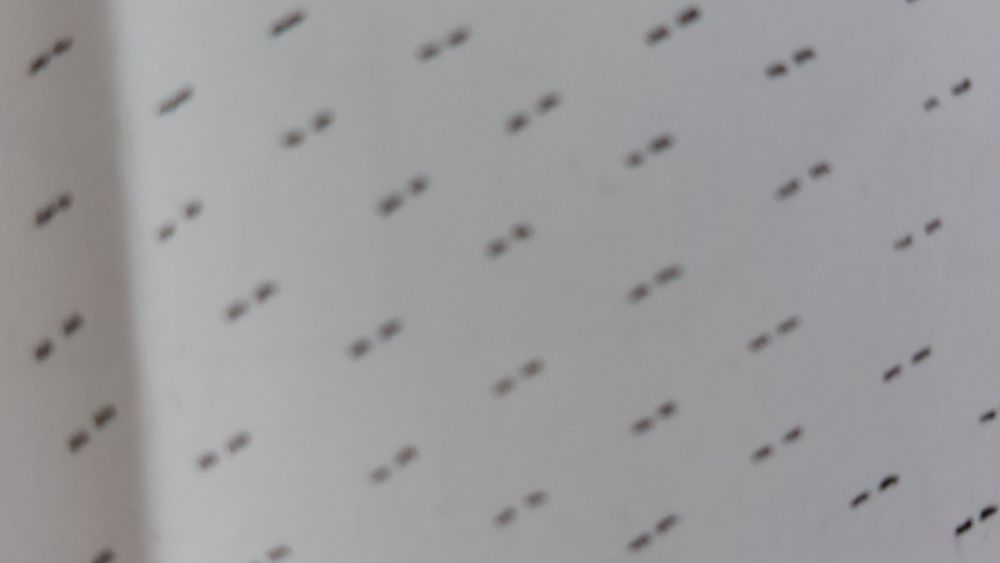 Spärliche, kurze unterbrochene Striche bedecken  ein Blatt.