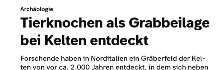 Screenshot einer Überschrift auf swr.de: "Tierknochen als Grabbeilage bei Kelten entdeckt"