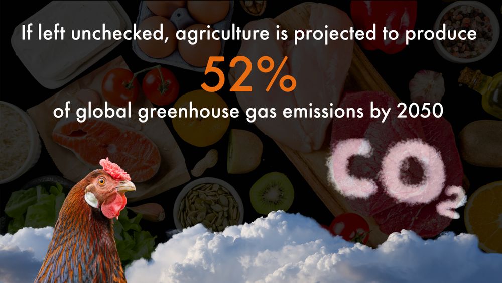 Image of a chicken with clouds and 'CO2' pictured in cloud writing. Text reads: If left unchecked, agriculture is projected to produce 52% of global greenhouse gas emissions by 2050
