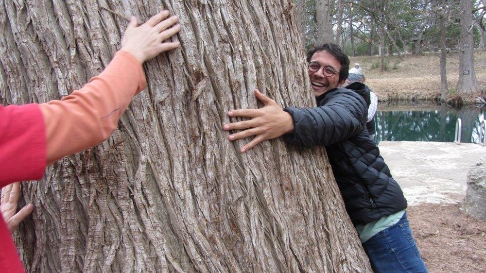 A big tree being hugged by two very happy persons