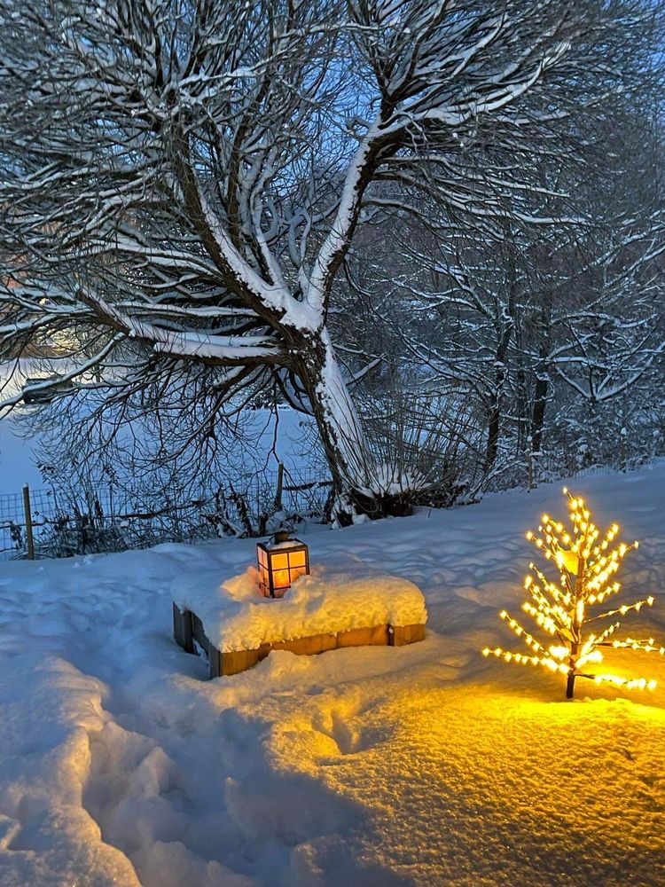 A snowy landscape with -21 degrees of Celcius on new years first morning