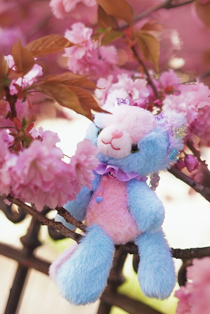 Photograph of a pink and blue cat plush sitting amongst flowers! 