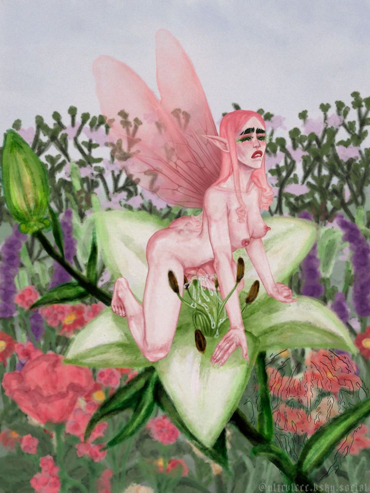 a fairy on a flower