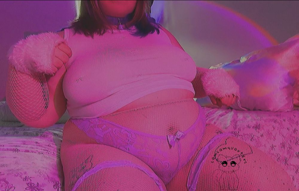 Camcam poses like a cat dressed in pink fishnets, purple garters, a purple thong, a purple collar with a bell, a white cropped shirt, and pink fishnet gloves underneath a pair of fuzzy white fingerless paw gloves. 