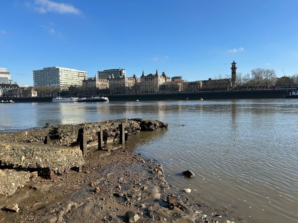 Sunny view of Thames and Lambeth bridge from river bank. Plus small black dog 