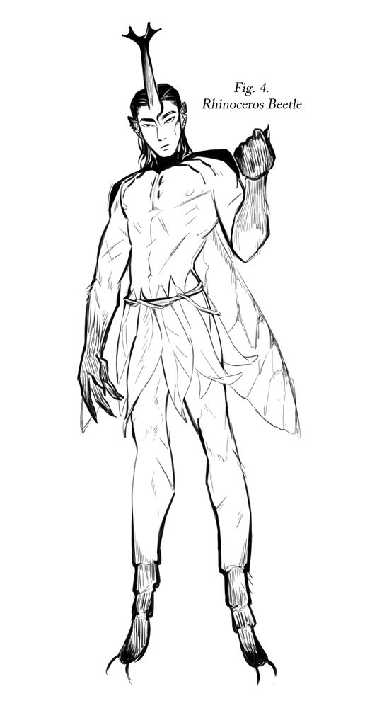 Fig. 4. Rhinoceros Beetle, its body is scarred due to its countless fights for territory.