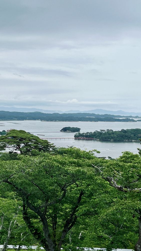 松島の写真