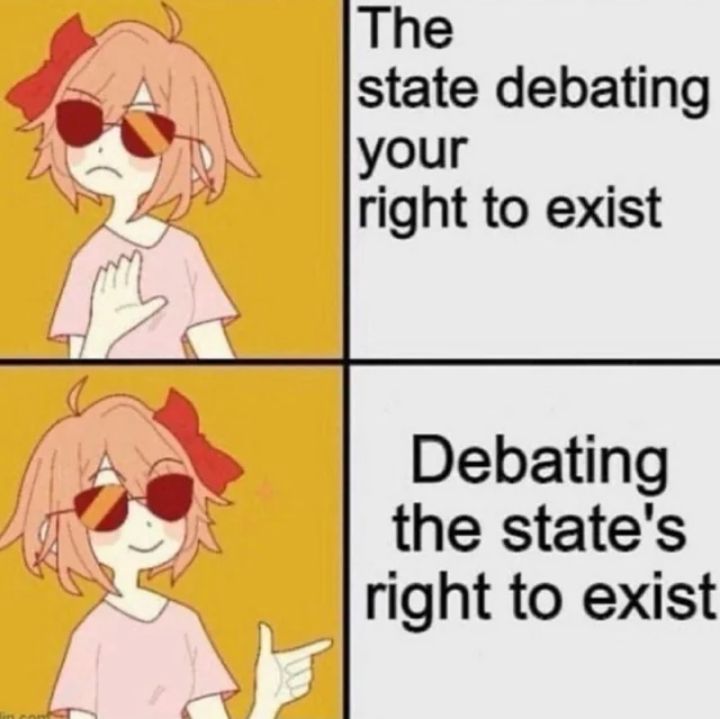 Its the wrong / correct meme with square for wrong saying "The state debating your right to exist" and the correct square saying "Debating the state's right to exist"